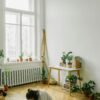 A cozy artist space featuring indoor plants and natural sunlight, perfect for inspiring creativity.